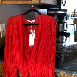 Endless Rose Chiffon Pleated Mini Dress